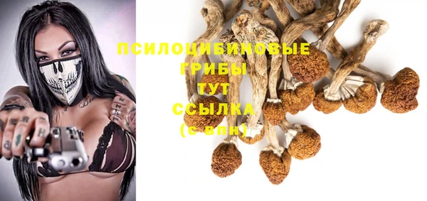 твердый Кинешма