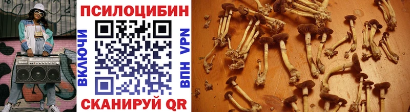 Галлюциногенные грибы мухоморы Краснокамск