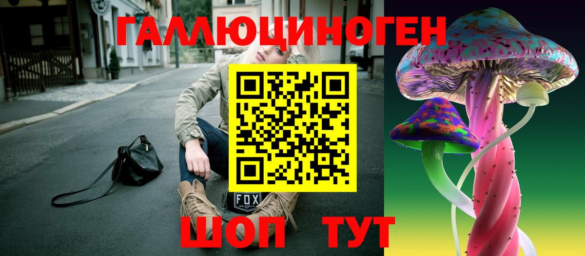 Галлюциногенные грибы Psilocybine cubensis Краснокамск