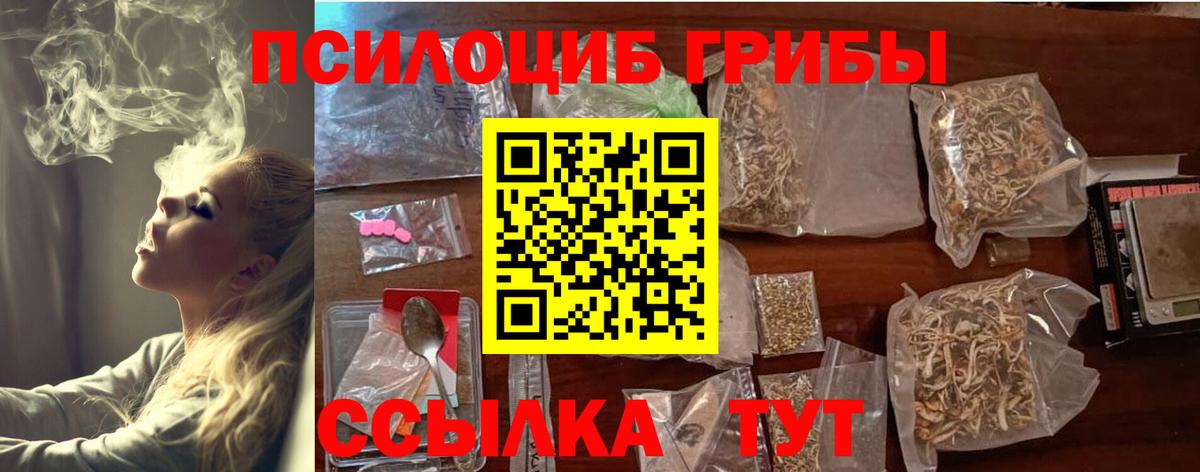 Псилоцибиновые грибы мицелий Краснокамск