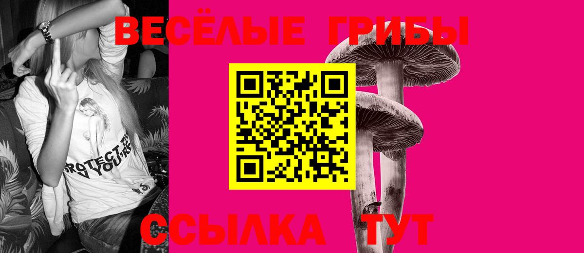 Краснокамск  Галлюциногенные грибы прущие грибы  Псилоцибиновые грибы мицелий  Вход с VPN 